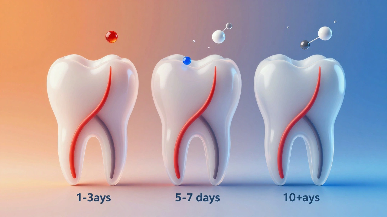 Timeline illustration of nerve death in a tooth over 1 to 10 days.